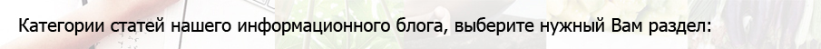 Категории статей нашего информационного блога