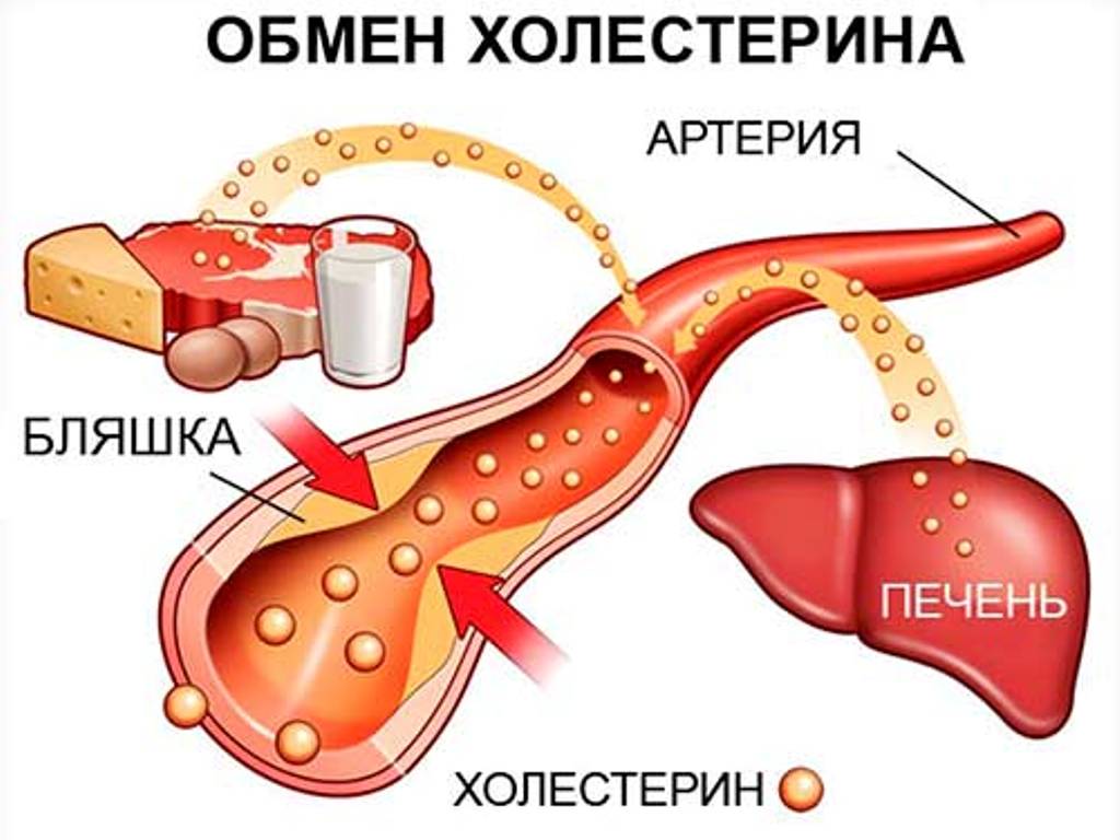 Продукты для снижения уровня холестерина