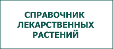Фитопрепараты в составе БАД компании NSP