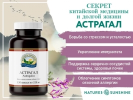 Астрагал перепончатый (Astragalus membranaceus) – наиболее известен благодаря его применению в традиционной народной китайской медицине. Исторически использовался в качестве иммуномодулирующего средства для лечения простуды, диареи, усталости и анорексии. Как адаптоген, астрагал помогает организму справляться со стрессом и отвечать на физические, умственные и эмоциональные раздражители